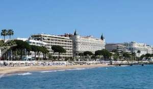 Venta Arrendamiento Cannes