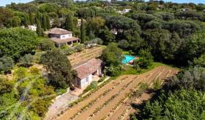 Venta Casa Saint-Tropez