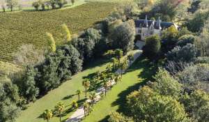 Venta Castillo Bordeaux