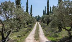 Venta Finca Saint-Saturnin-lès-Apt