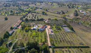 Venta Granja Montemor-o-Novo