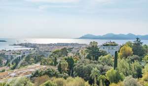 Venta Piso Cannes