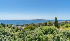 Venta Piso Cannes