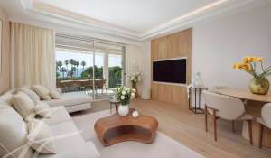 Venta Piso Cannes