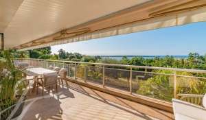 Venta Piso Cannes