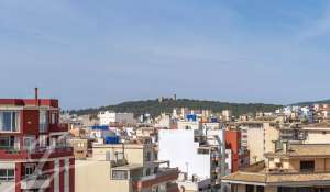 Venta Piso Palma de Mallorca