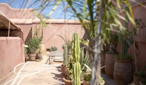 Venta Riad Marrakech