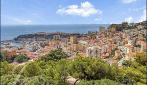 Venta Terreno construible Roquebrune-Cap-Martin