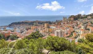 Venta Terreno construible Roquebrune-Cap-Martin