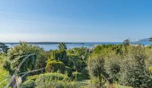 Venta Villa Cannes