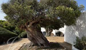 Venta Villa Ciutadella de Menorca