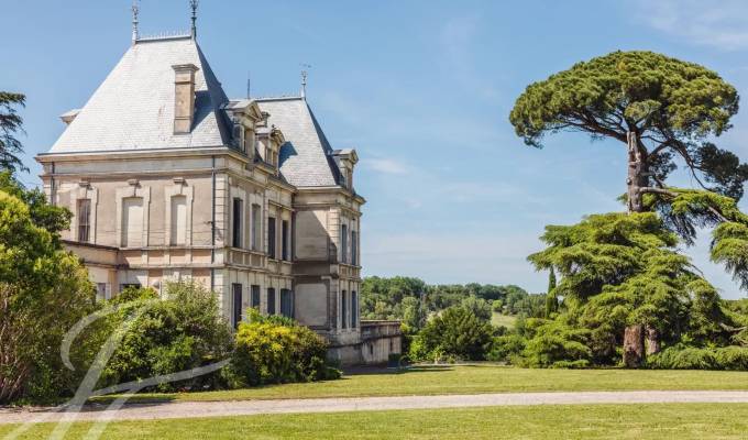 Venta Viñedo Saint-Émilion